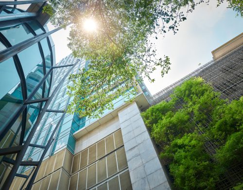 Cautious Optimism Returns to Commercial Real Estate Lending